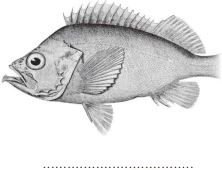 صورة 2